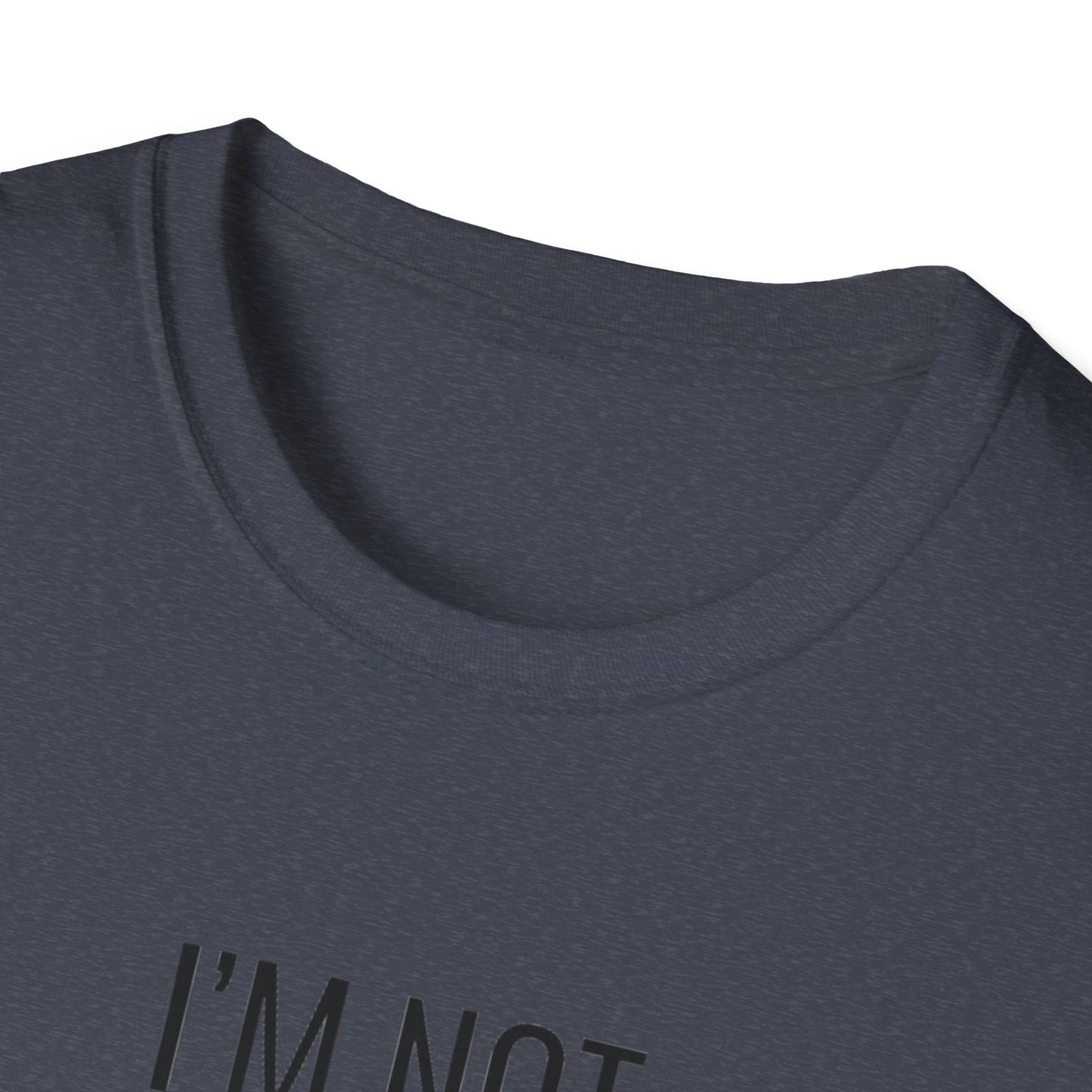 Fun Cat-Themed T-Shirt, I'm Not Superstitious, Halloween Apparel, Gift for Cat Lovers, Quirky Graphic Tee, Everyday Comfort