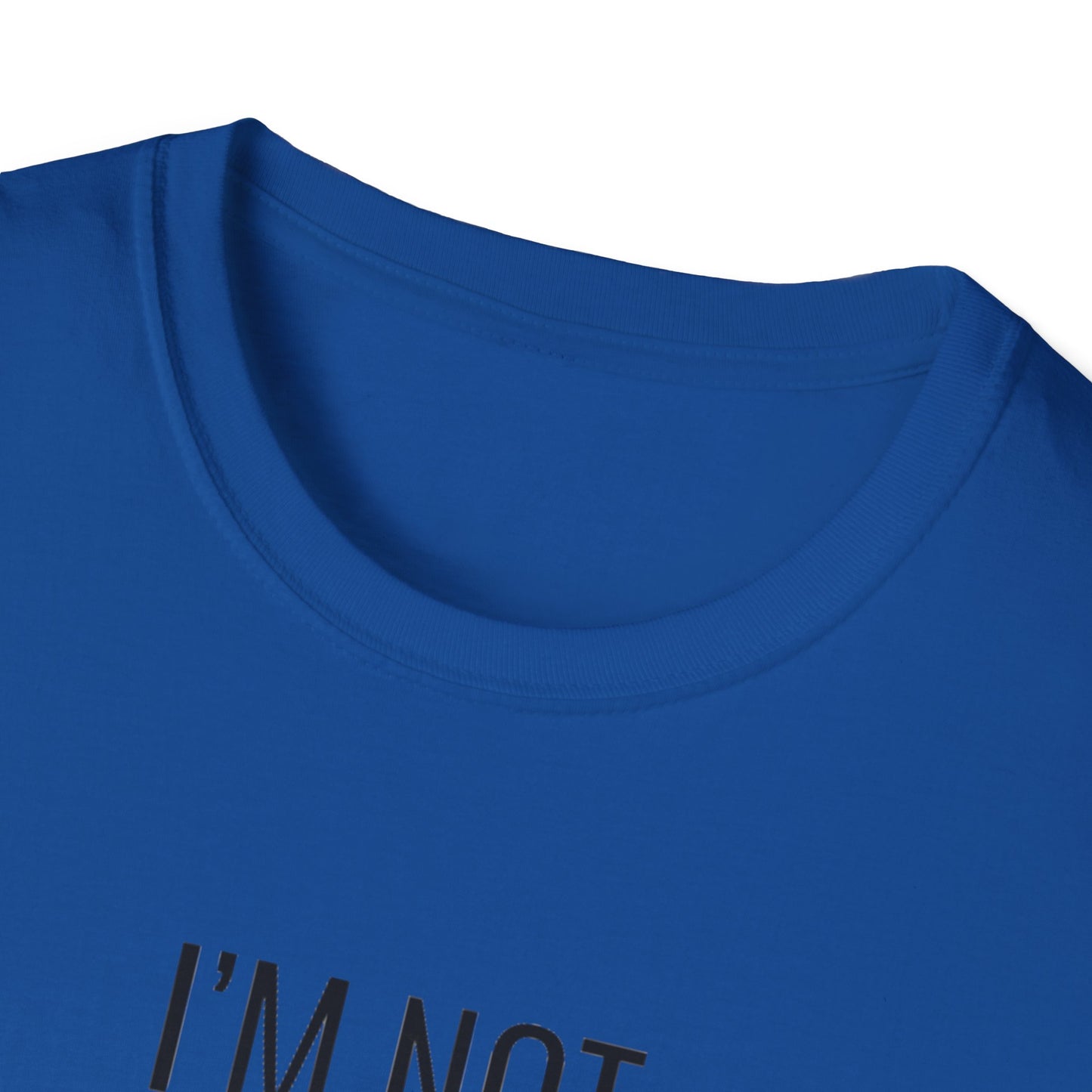 Fun Cat-Themed T-Shirt, I'm Not Superstitious, Halloween Apparel, Gift for Cat Lovers, Quirky Graphic Tee, Everyday Comfort
