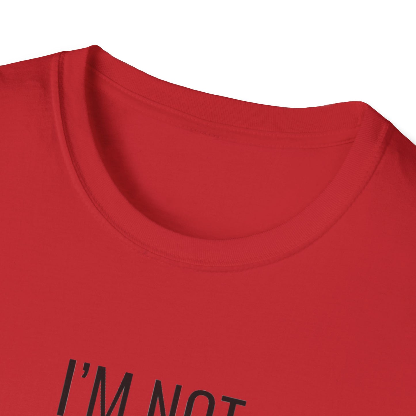 Fun Cat-Themed T-Shirt, I'm Not Superstitious, Halloween Apparel, Gift for Cat Lovers, Quirky Graphic Tee, Everyday Comfort
