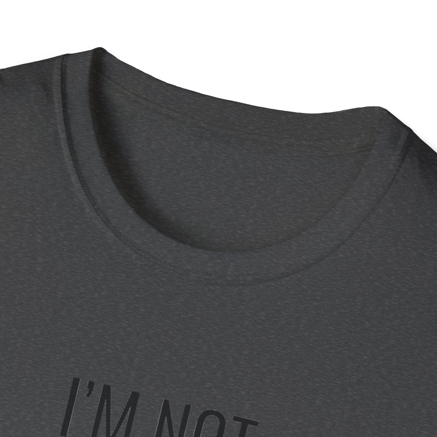 Fun Cat-Themed T-Shirt, I'm Not Superstitious, Halloween Apparel, Gift for Cat Lovers, Quirky Graphic Tee, Everyday Comfort