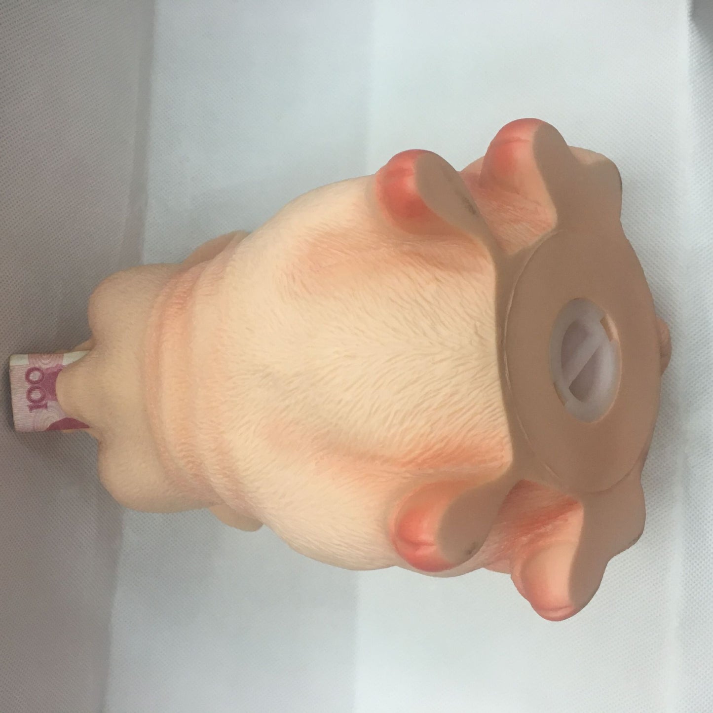 Cute little cute pig money box