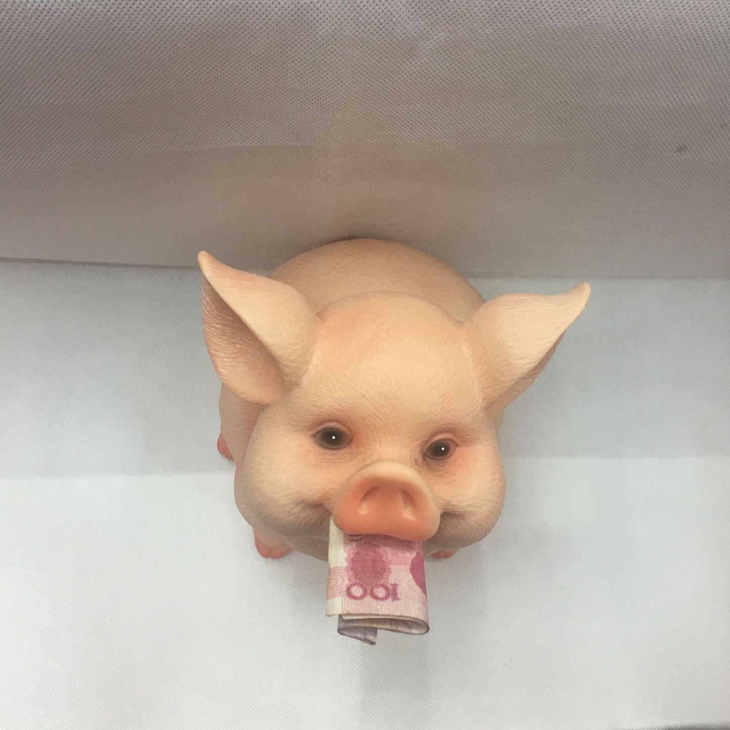 Cute little cute pig money box