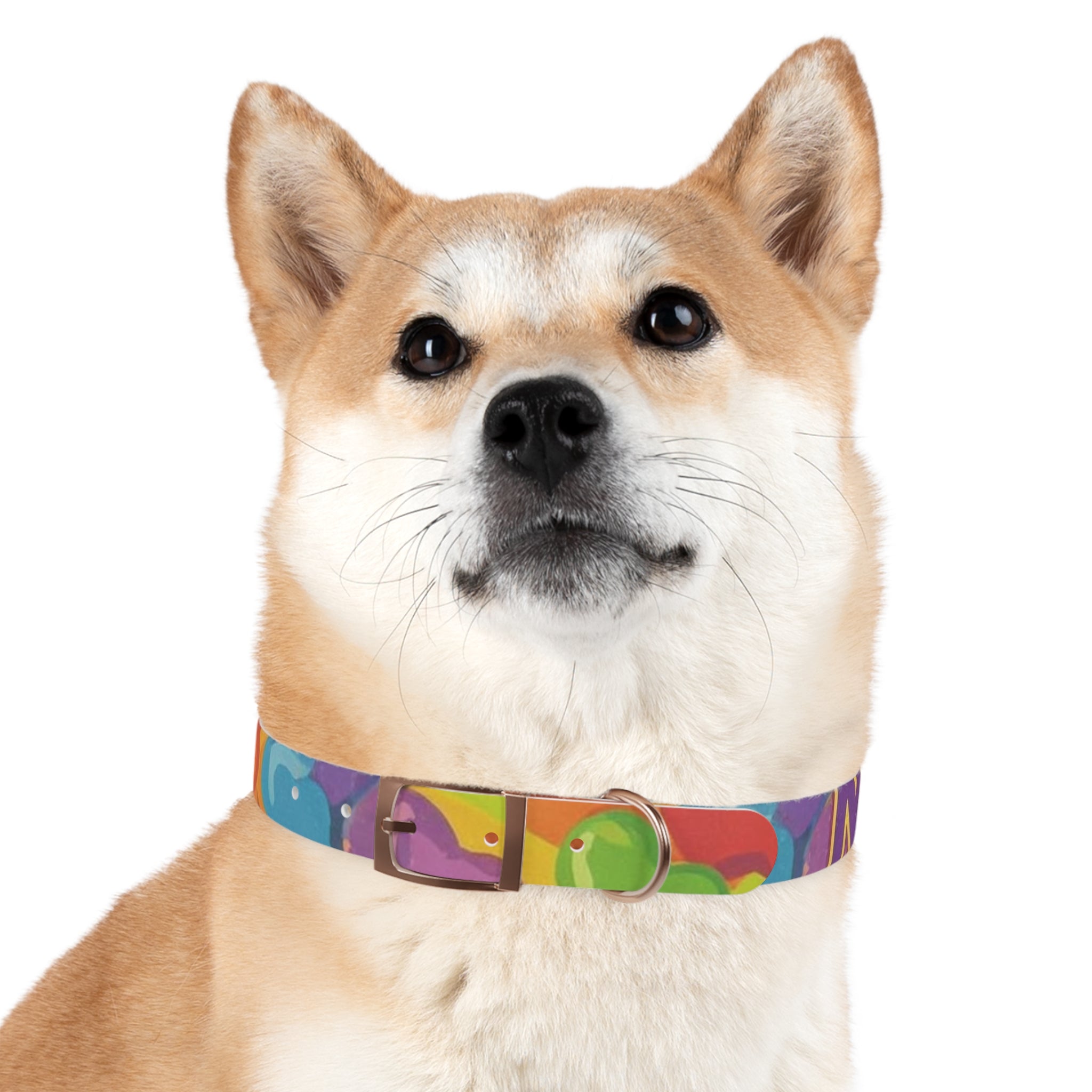Vibrant Rainbow Dog Collar - Colorful Pet Accessory for Any Occasion