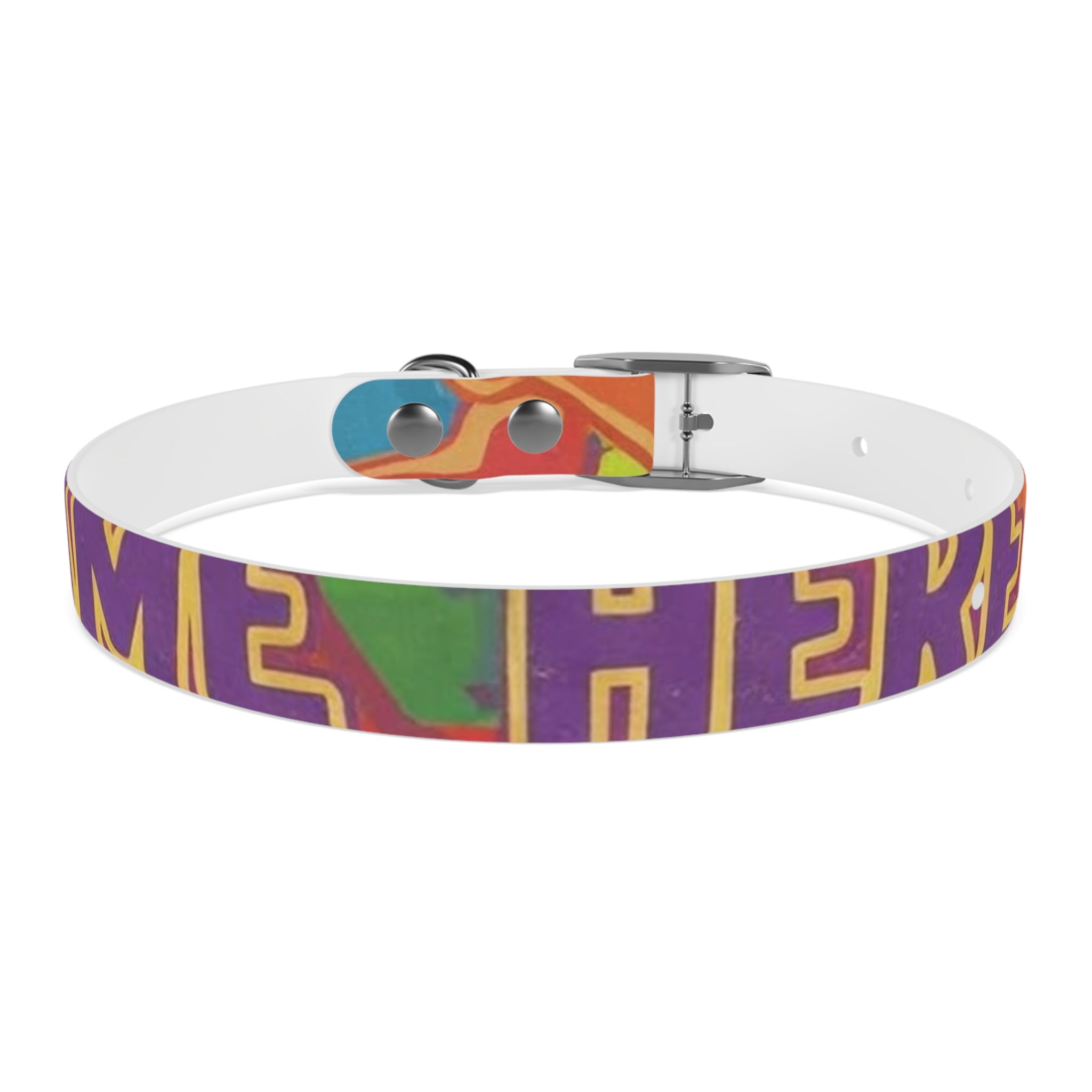 Vibrant Rainbow Dog Collar - Colorful Pet Accessory for Any Occasion