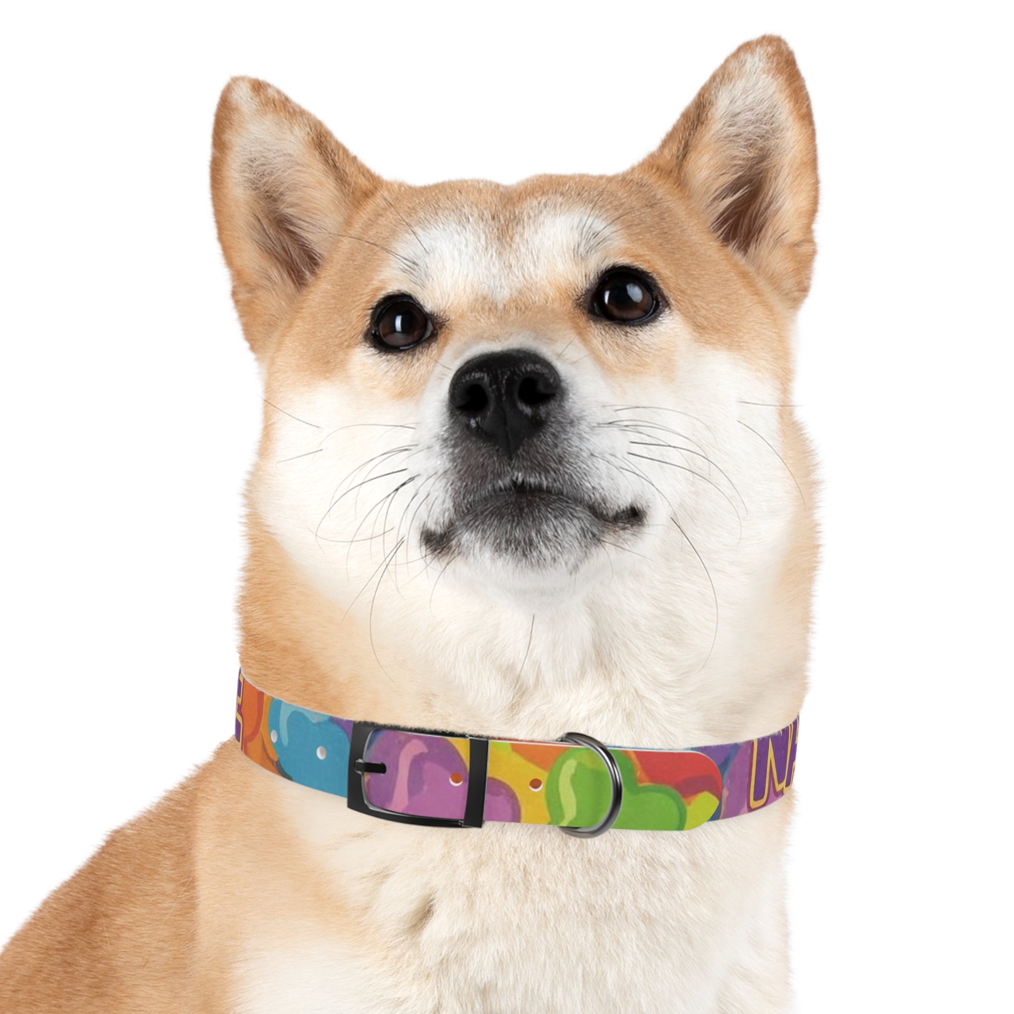 Vibrant Rainbow Dog Collar - Colorful Pet Accessory for Any Occasion