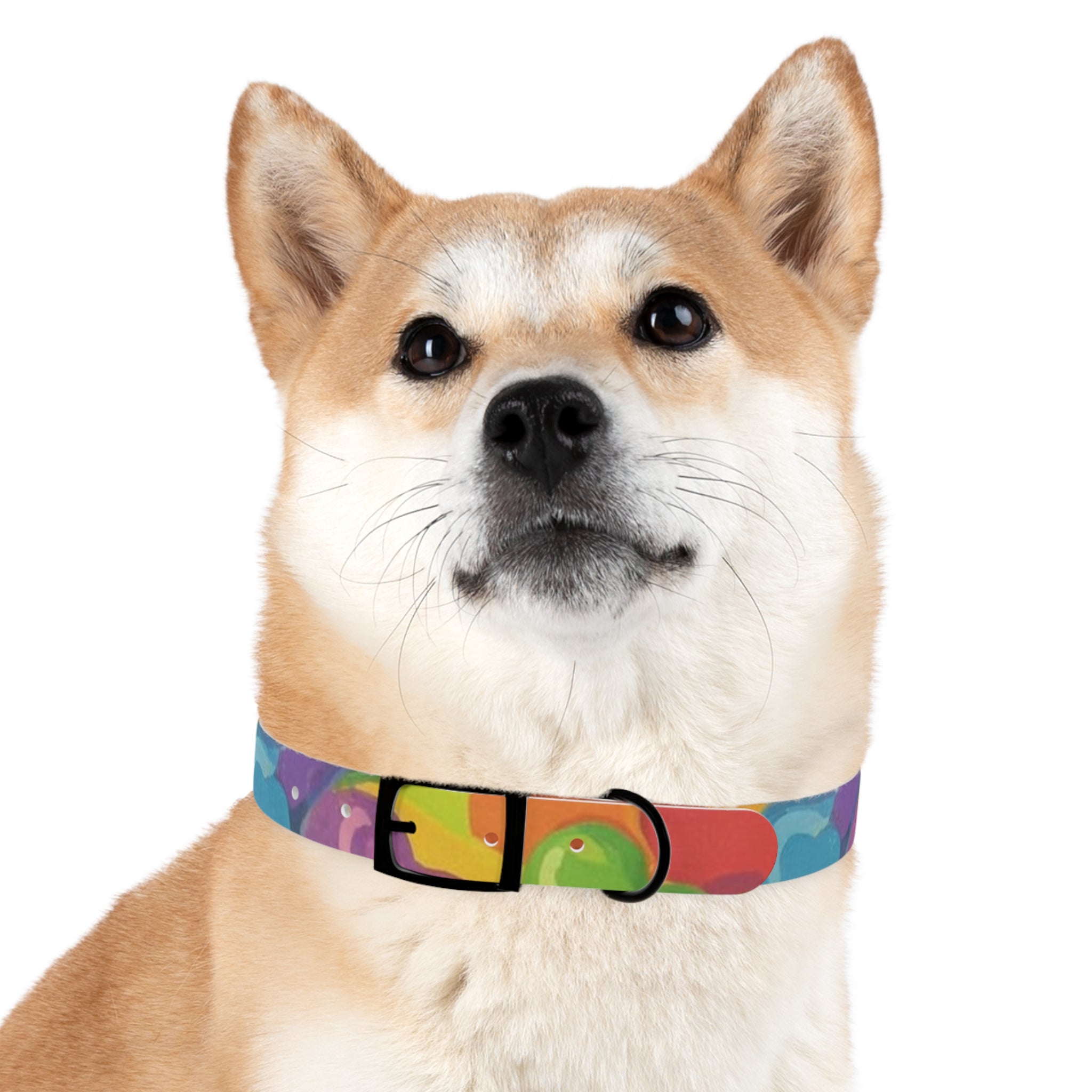 Vibrant Rainbow Dog Collar - Colorful Pet Accessory for Any Occasion