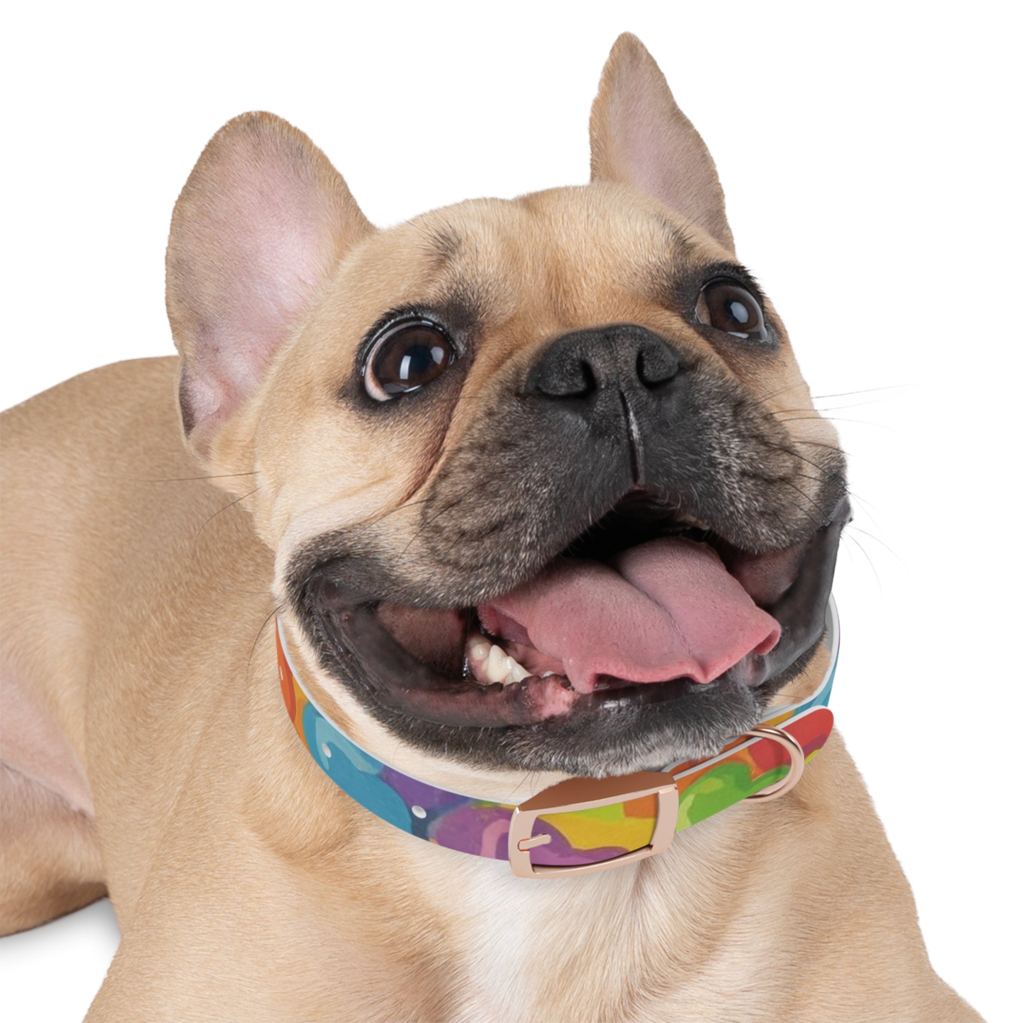 Vibrant Rainbow Dog Collar - Colorful Pet Accessory for Any Occasion