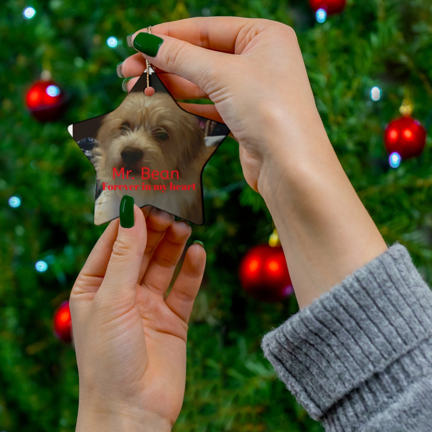 Personalized Pet Memorial Ceramic Ornament - Forever in My Heart - Star Shape