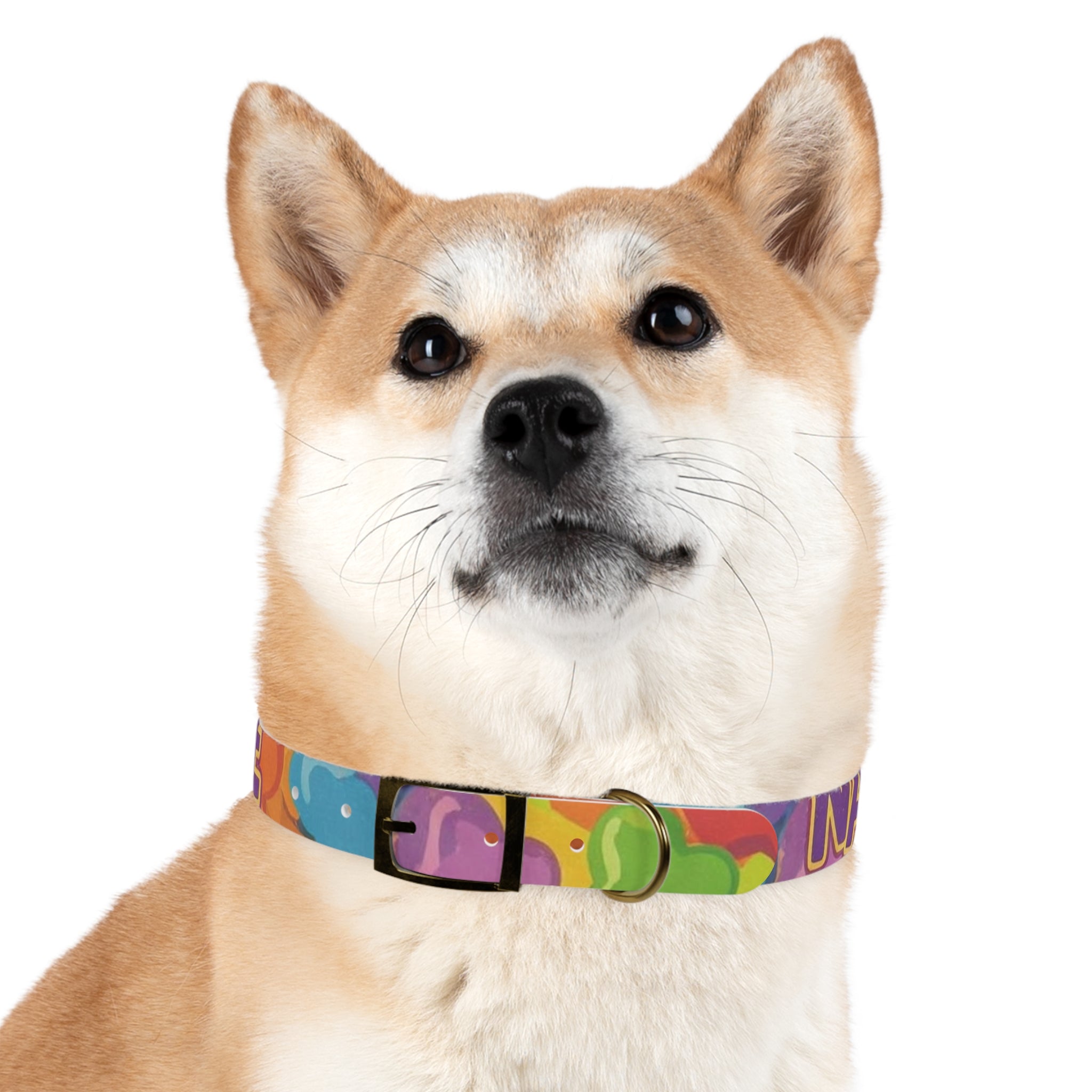 Vibrant Rainbow Dog Collar - Colorful Pet Accessory for Any Occasion