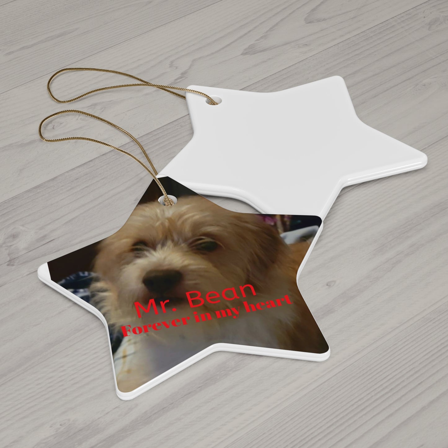 Personalized Pet Memorial Ceramic Ornament - Forever in My Heart - Star Shape