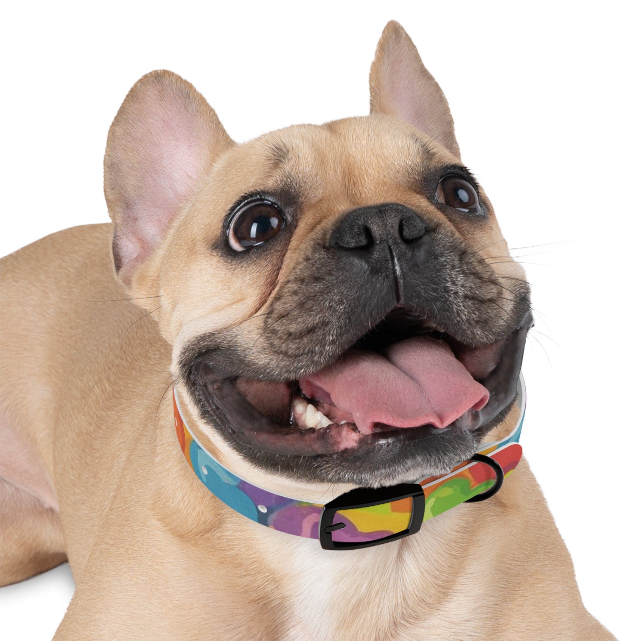 Vibrant Rainbow Dog Collar - Colorful Pet Accessory for Any Occasion