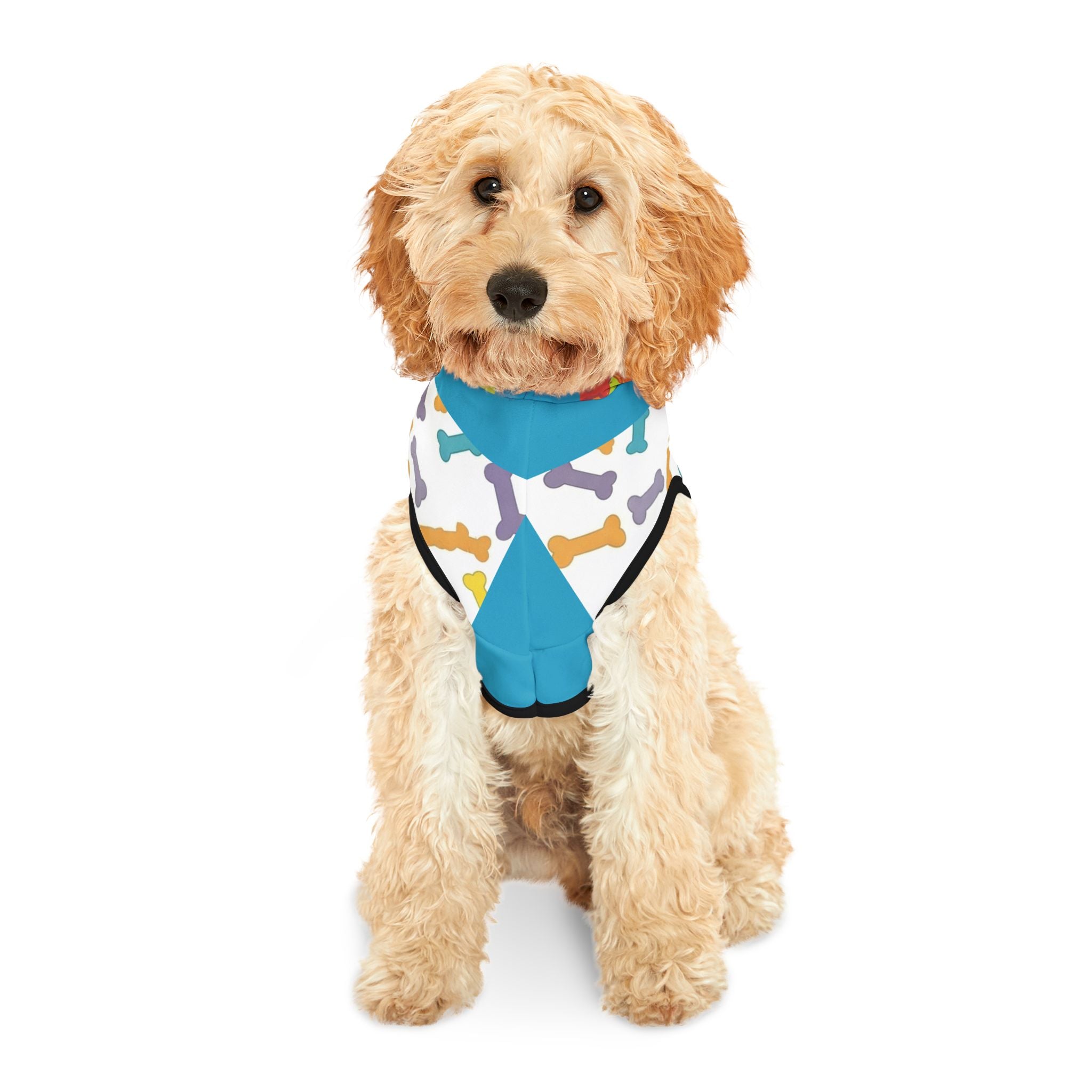 Customizable Pet Hoodie – Colorful Dog and Cat Apparel with Name Personalization