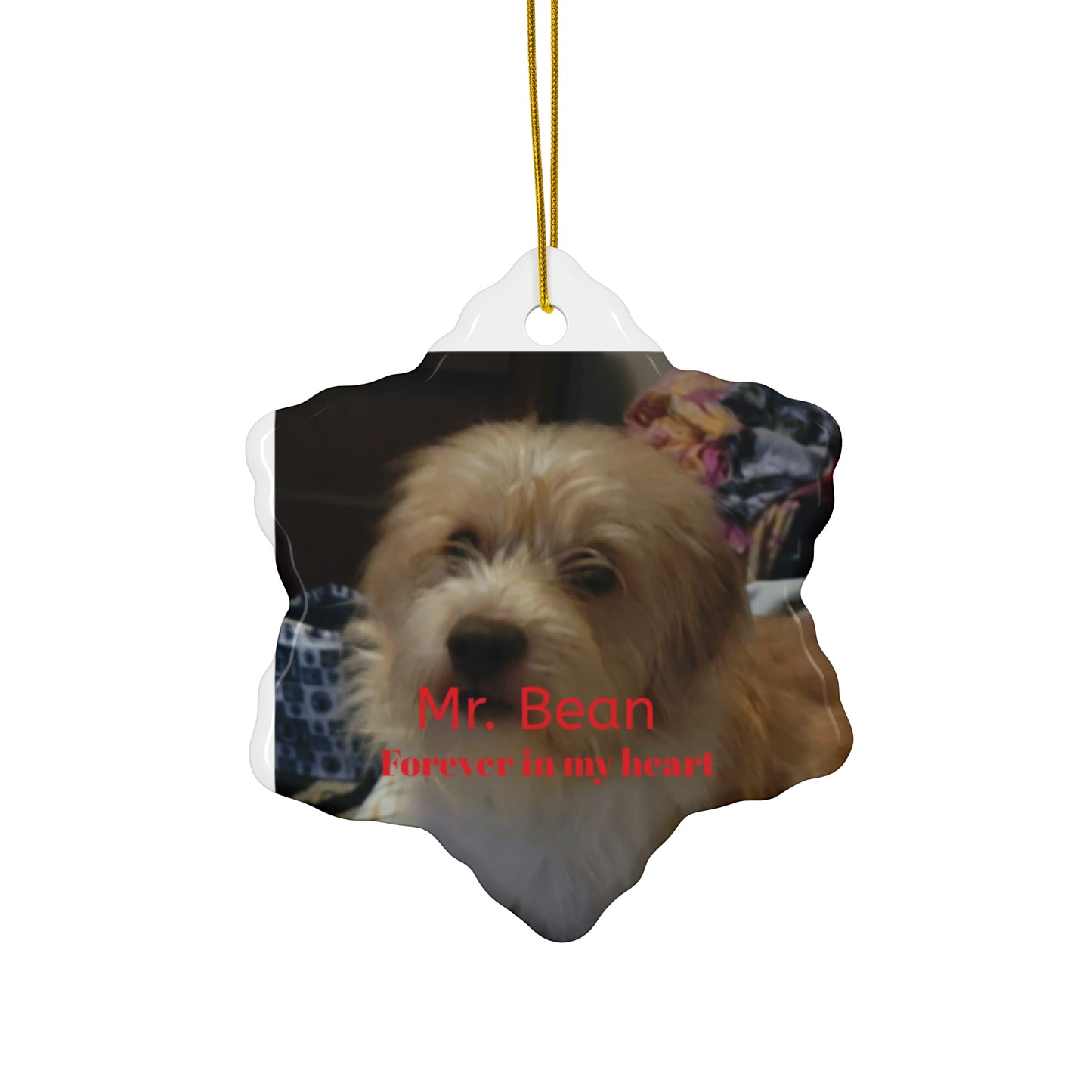 Personalized Pet Memorial Ceramic Ornament - Forever in My Heart - Star Shape