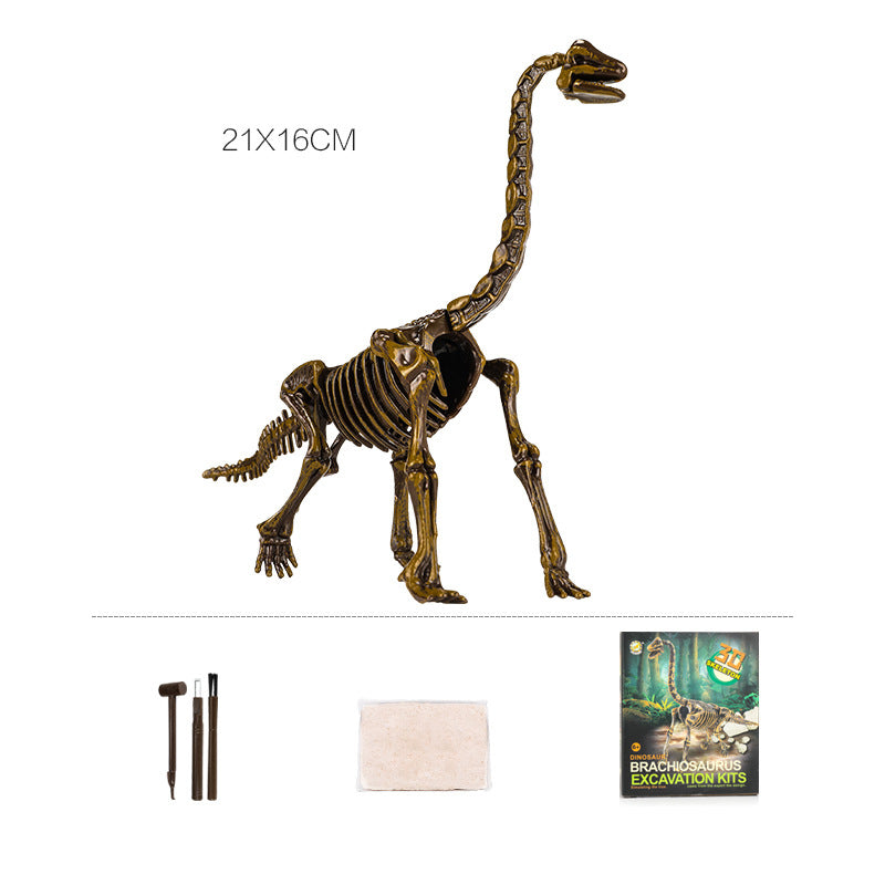 Archaeological Excavation Dinosaur Skeleton Educational Toy