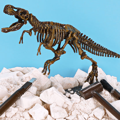 Archaeological Excavation Dinosaur Skeleton Educational Toy