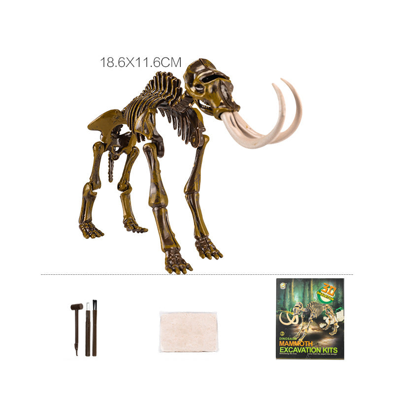 Archaeological Excavation Dinosaur Skeleton Educational Toy