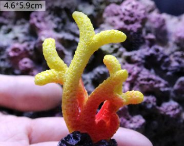 Fish Tank Decoration, Sea Water Tank, Starfish Resin Ornaments