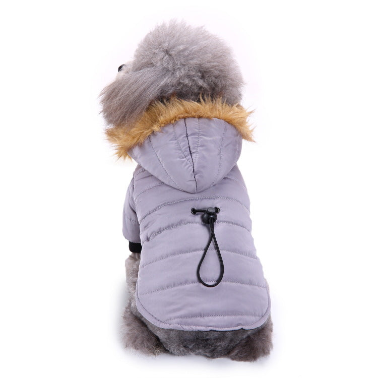 Winter clothing for pets