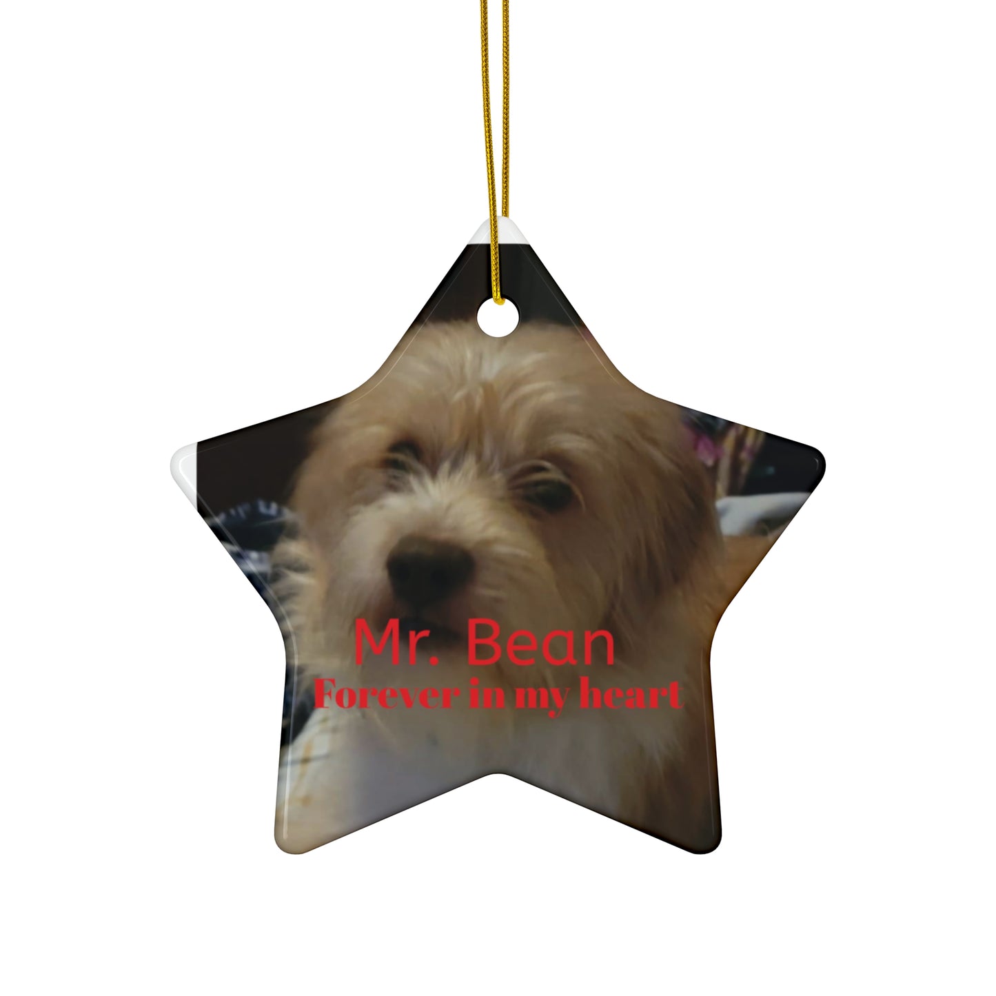 Personalized Pet Memorial Ceramic Ornament - Forever in My Heart - Star Shape