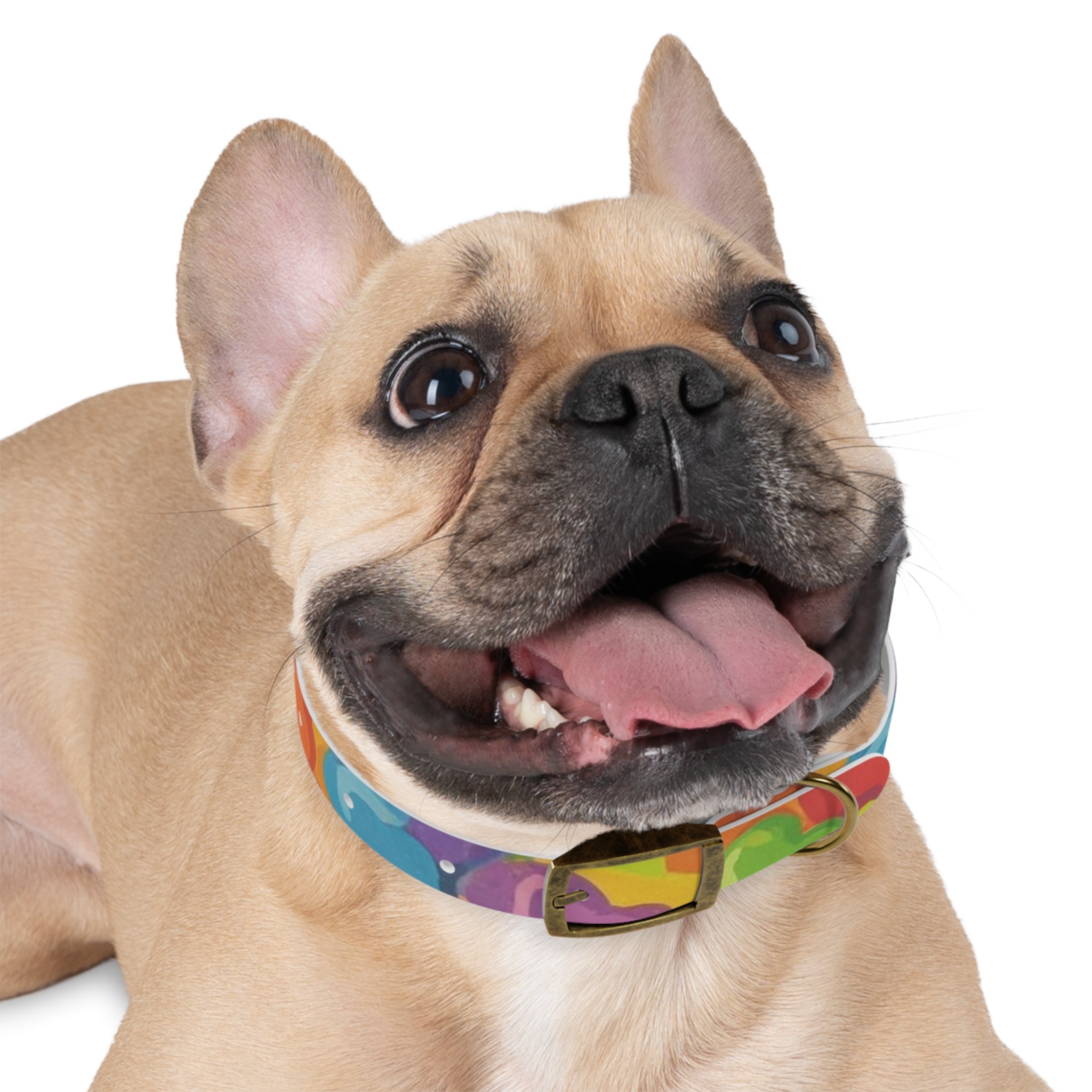 Vibrant Rainbow Dog Collar - Colorful Pet Accessory for Any Occasion