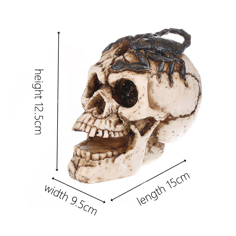 Resin skull decoration model