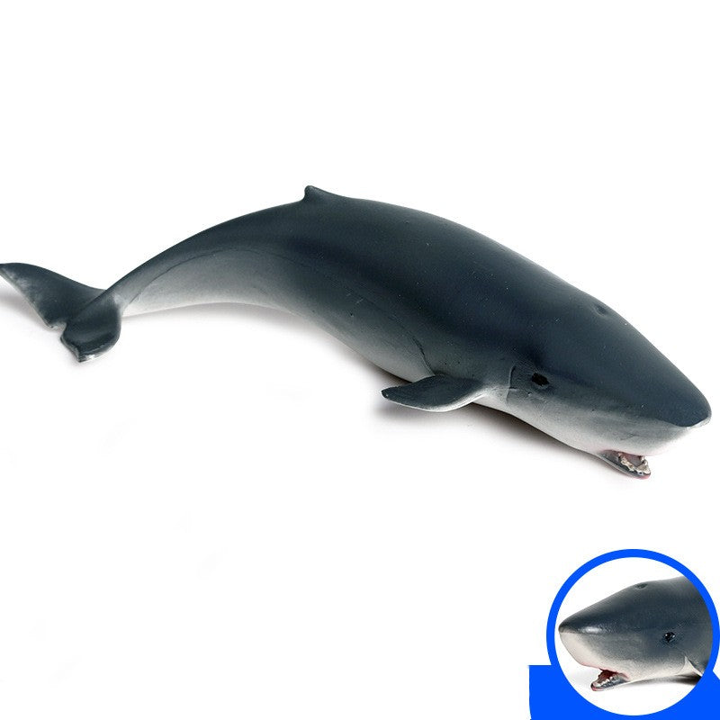 Children's Simulation Marine Life Model Toy