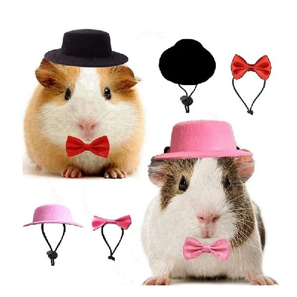 Small Animals Hats Rabbit Guinea Pig Hamster Totoro