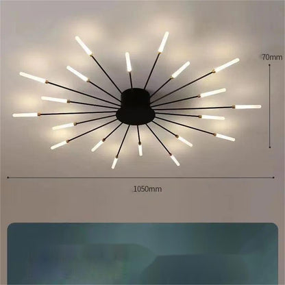 Ceiling Room Lights With Special Iron Decoration