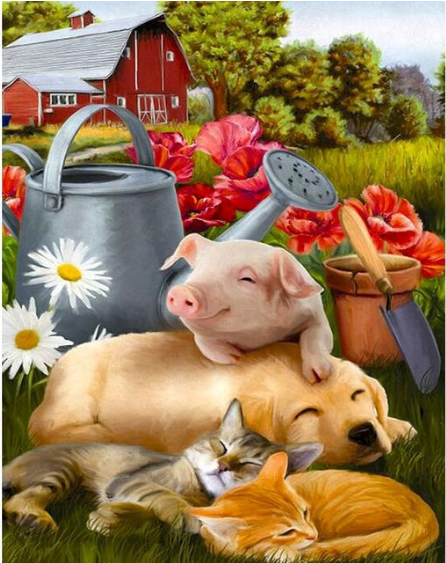 Cat, Pig And Dog Animal Paint By Numbers