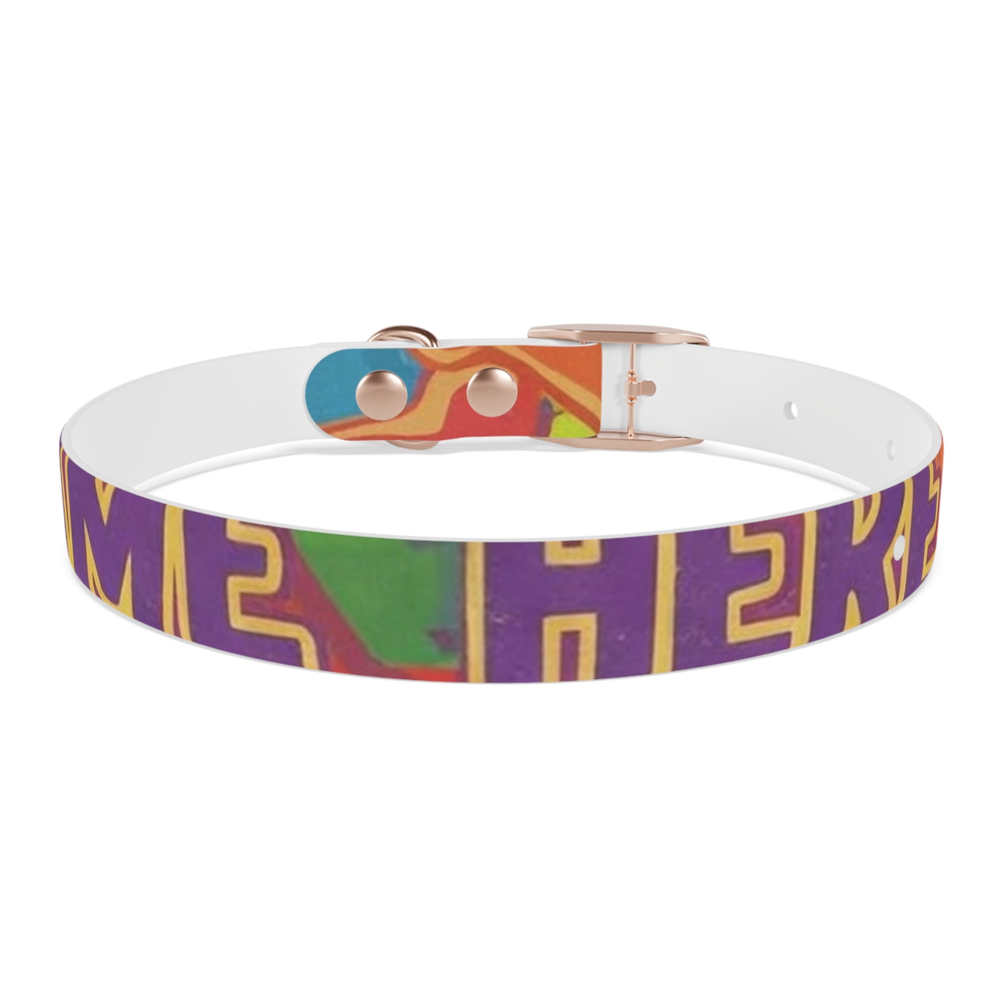 Vibrant Rainbow Dog Collar - Colorful Pet Accessory for Any Occasion