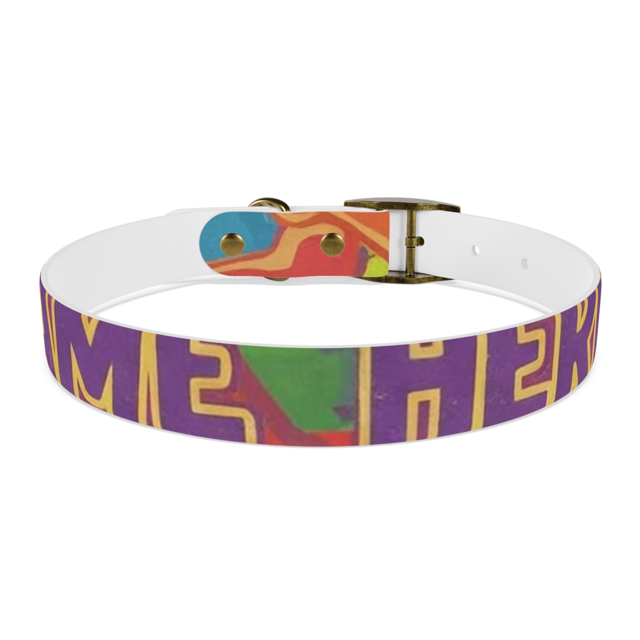 Vibrant Rainbow Dog Collar - Colorful Pet Accessory for Any Occasion