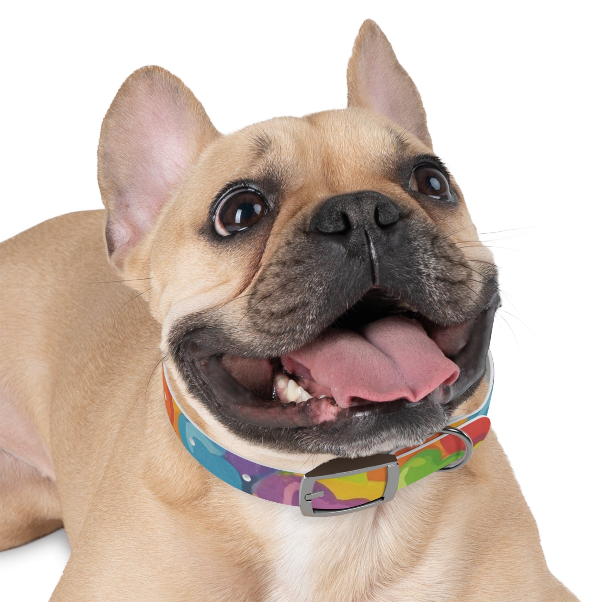Vibrant Rainbow Dog Collar - Colorful Pet Accessory for Any Occasion