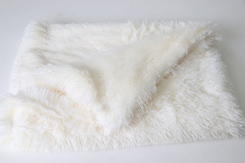 Plush pet mat double pet blanket