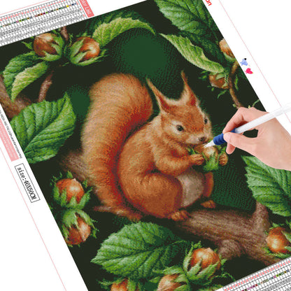 Home Decoration Animal Squirrel Diamond Painting