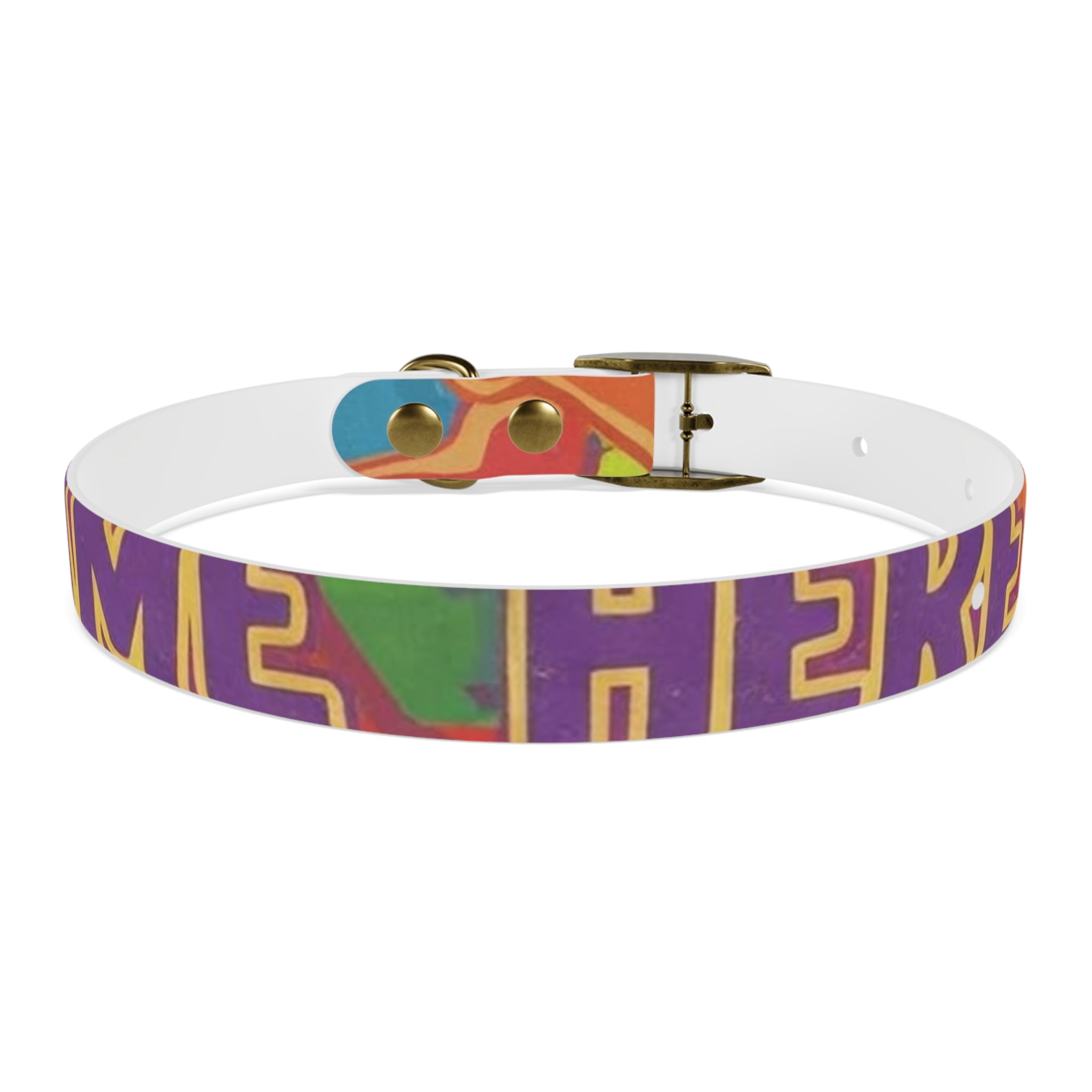 Vibrant Rainbow Dog Collar - Colorful Pet Accessory for Any Occasion