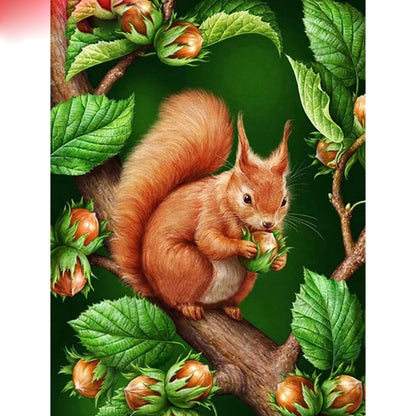 Home Decoration Animal Squirrel Diamond Painting