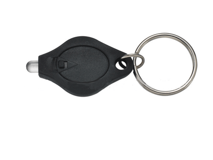 Small Flashlight Key Ring