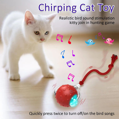 New Cat Rolling Ball Bird Chirping Interactive Cats Pets Toys Mot Pet Products