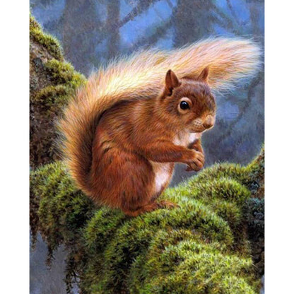 Diamond Painting Cute Squirrel, All Diamonds, 5D Square