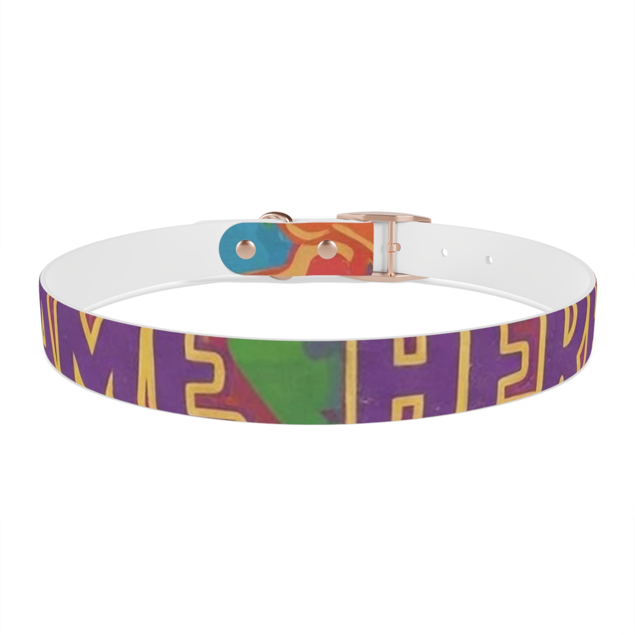 Vibrant Rainbow Dog Collar - Colorful Pet Accessory for Any Occasion