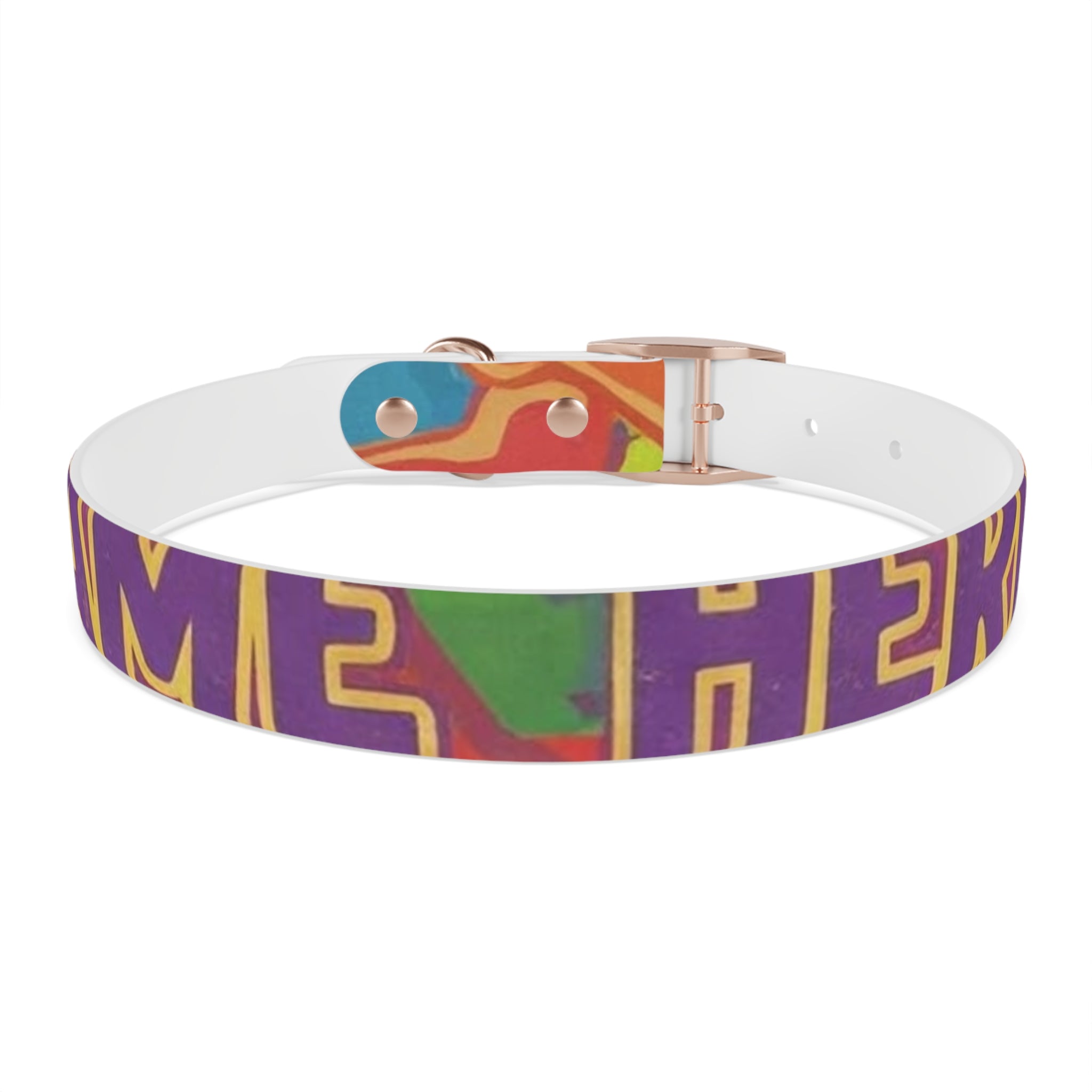 Vibrant Rainbow Dog Collar - Colorful Pet Accessory for Any Occasion