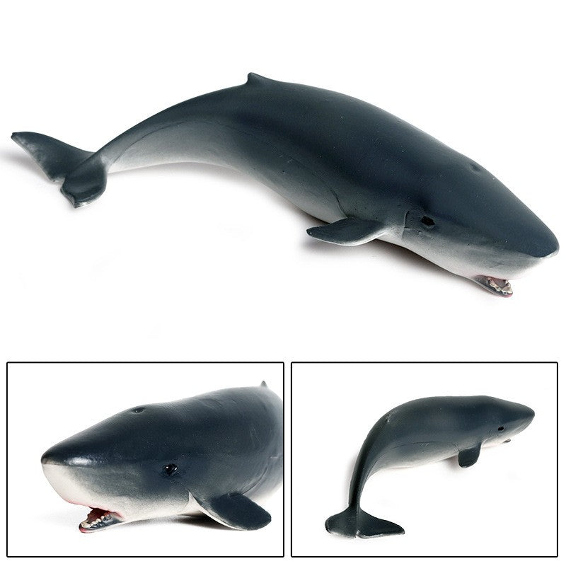 Children's Simulation Marine Life Model Toy