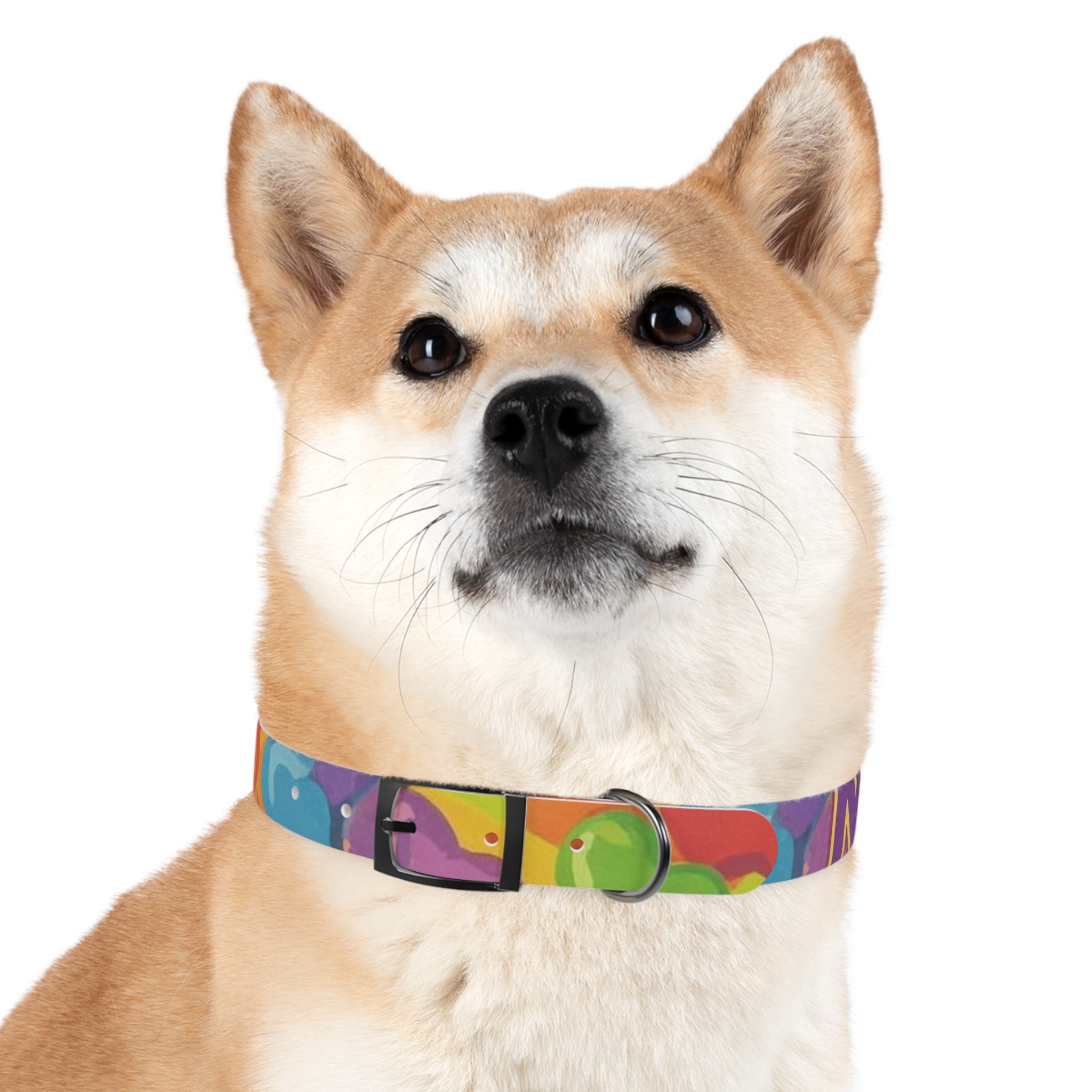 Vibrant Rainbow Dog Collar - Colorful Pet Accessory for Any Occasion