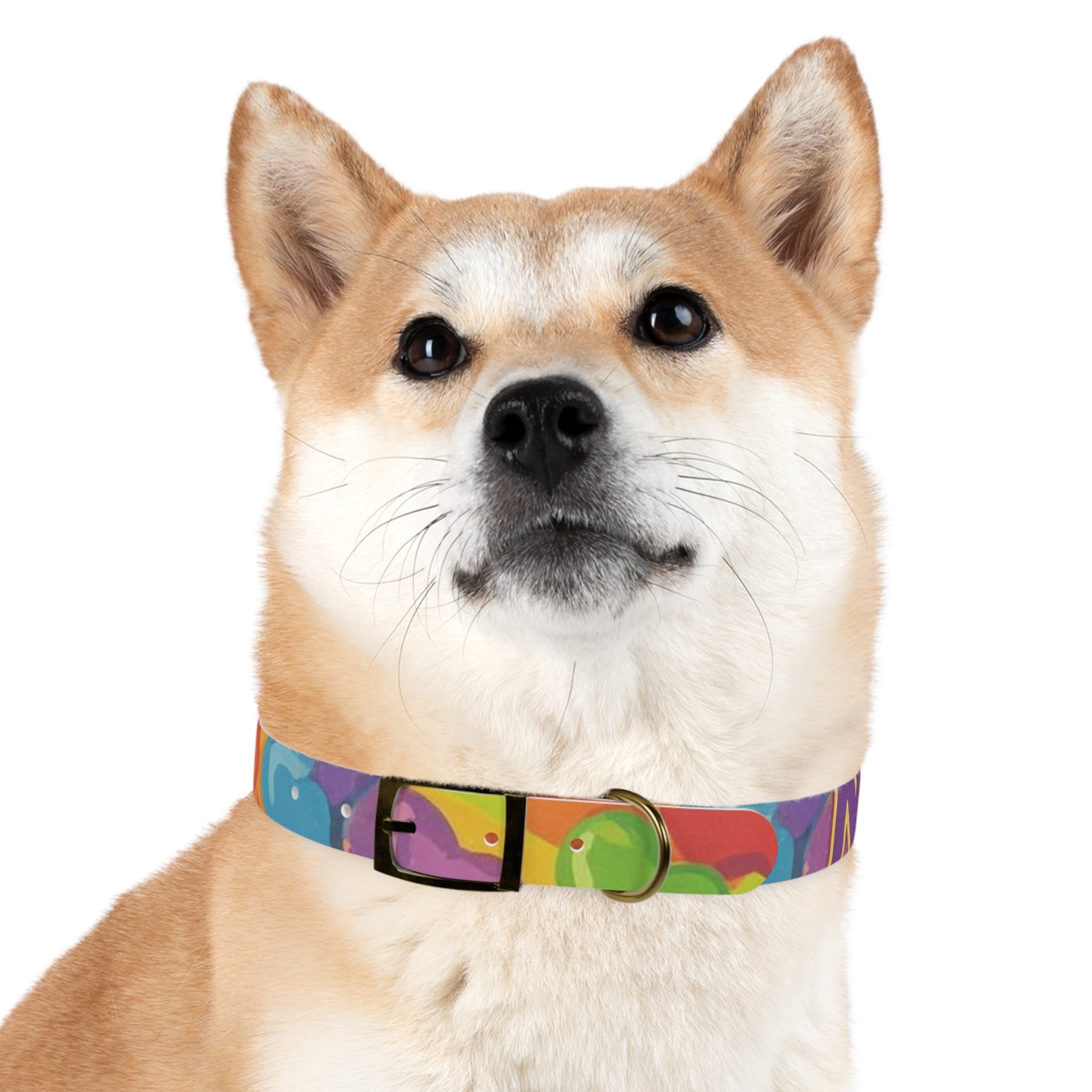 Vibrant Rainbow Dog Collar - Colorful Pet Accessory for Any Occasion